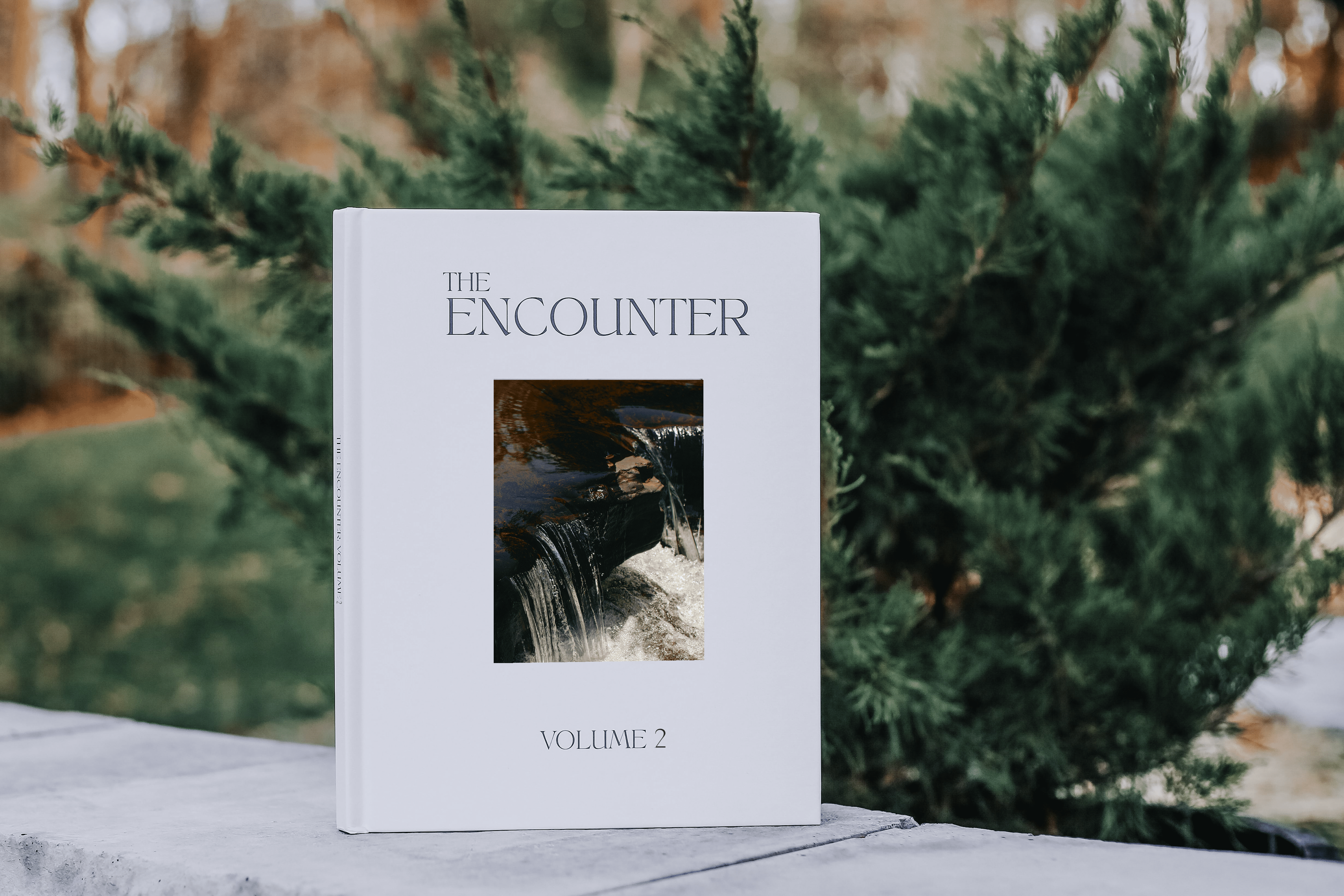 Encounter Volume 2 - Image 3